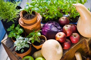 fruits, veggetables, and herbs