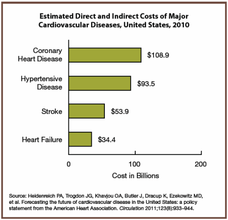 Estimated Direct and Indirect Costs of Major Cardiovascular Diseases, United States, 2010. Text description provided below.