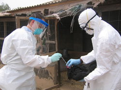 A hospital worker disinfects the protective clothing worn by CDC’s Dr. Scott Dowell, investigating an Ebola outbreak in Kikwit, Democratic Republic of the Congo.