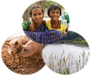 Woman and daughter, two pigs, and a pond
