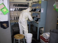 Worker in a hazmet suit checks for anthrax