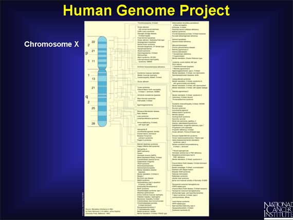 Human Genome Project