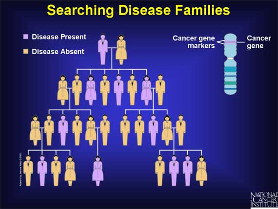 Searching Disease Families