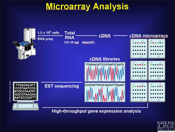 Microarray Analysis