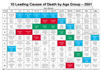 Leading Causes Charts