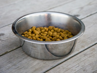 Photo: dry dog food in bowl