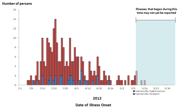 Persons infected with the outbreak strains of Salmonella Typhimurium, by date of illness onset