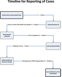 timeline for reporting of cases