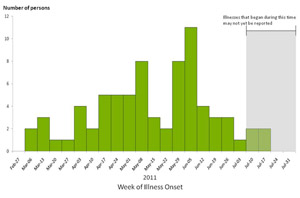 Chart showing bar graph indicating numbers of persons infected with the outbreak strains of Salmonella Heidelberg by week of illness onset
