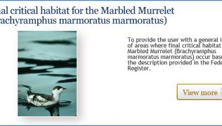 Final Critical Habitat for the Marbled Murrelet