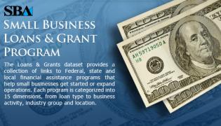 Small Business Loans and Grant Program