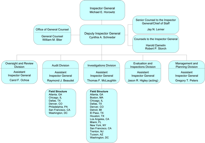 OIG org chart