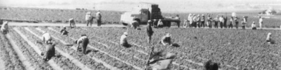 Workers in a field as a protest begins.