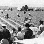 Striking farm workers