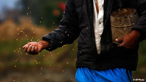 A farmer sows wheat at Chunnikhel, Katmandu, Nepal, Nov. 15, 2011. [AP File Photo]