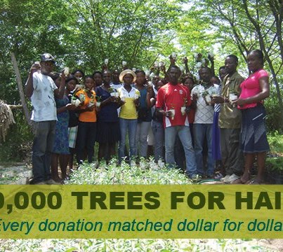 Photo: Every dollar you donate will be matched! http://treeswaterpeople.org/support_us/help_fund_a_project/10000_trees_for_haiti.html