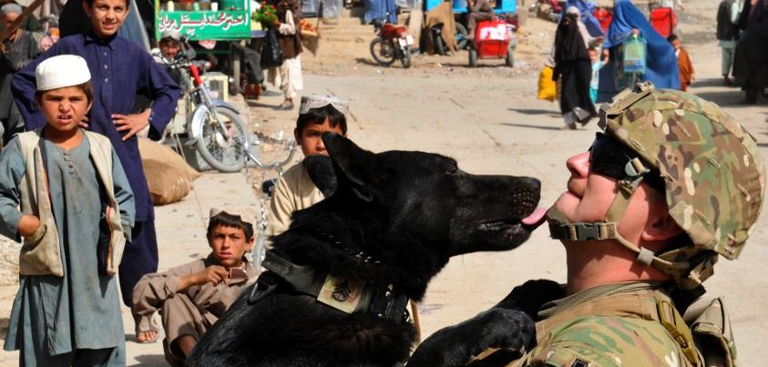 Photo: U.S. Army Sgt. Adam Serella, a narcotics patrol detector dog handler with 3rd Infantry Division, takes time to bond with his dog, Nero, as local children look on during Operation Clean Sweep conducted in districts throughout Kandahar City, Afghanistan, Oct. 3. U.S. Army photo by Spc. Tyler Meister