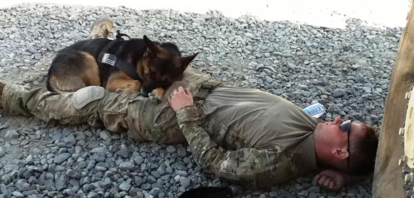 Photo: MAN'S BEST FRIEND....

SPC Lamme and SGT "Diego" return back to base after a long, hard day of patroling the mountains of Northern Wardak.
