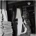 Photo: Kay Brewington Examining a Large Petition (ARC3493221 )