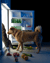 Dogs and cats looking in the refrigerator