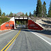 Students from the leadership class at Mt. Shasta High School painted this bridge to honor those who lost their lives to drug addiction. They also shatter the myths about drug and tobacco companies, and encourage teens to get the facts by visiting the NIDA website for teens.