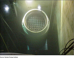 Figure 5: Canister in a Transfer Cask in a Spent Nuclear Fuel Pool