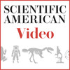 Scientific American Video