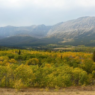 Photo: Fall has officially arrived in Glacier National Park.