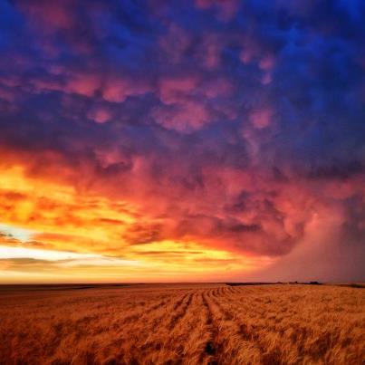 Photo: They don't call it Big Sky Country for nothing...

Still more of the beauty of Northeastern, Montana