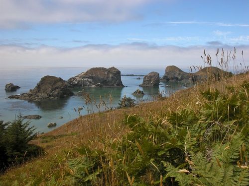 Most of Oregon’s 1.2 million seabirds nest in the Oregon Islands National Wildlife Refuge, a 320-mile-long sweep of 1,400 islands, rocks, and reefs along the Oregon coast from Tillamook Head to the California border. The rocks, islands and all but one headland are classified as wilderness and are closed to the public as sanctuaries for nesting birds. Beach-goers can explore the tide pools teeming with sea life below the high tide line on the refuge’s protected rocks and islands. Photo: Roy W. Lowe/USFWS  
