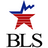 BLS-Labor Statistics