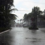 Picture of severe wind and rain during a hurricane