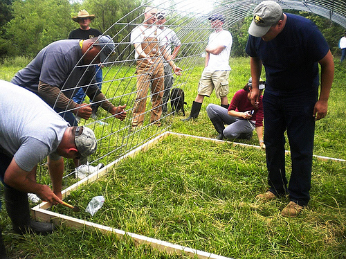 Military veterans-turned-beginning-farmers learn how to build mobile poultry units at an Armed to Farm workshop. Photo credit: University of Arkansas