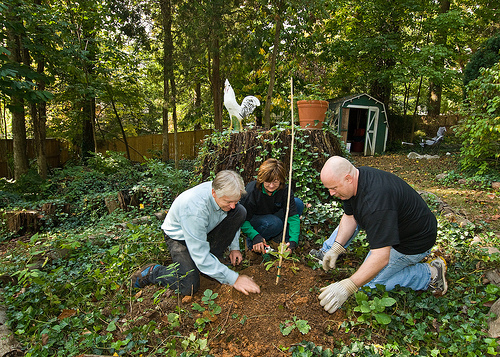 Robert Snieckus (left), National Landscape Architect, Natural Resources Conservation Service, Andree Duvarney (center), Special Assistant to the Chief, Natural Resources Conservation Service and Brian Symmes (right), “Eight Oaks” plant a progeny of one of the original oaks at “Eight Oaks” the home of Dr. Hugh Hammond Bennett the first Chief of the Natural Resources Conservation Service then the Soil Erosion Service at Dr. Bennett’s home in McLean, Virginia on Friday, October 15, 2010  as part of the celebration for the 75th Anniversary of the Natural Resources Conservation Service. The trunk of the oak tree behind has an approximate age of 350 years. USDA Photo 10di1524-4 by Bob Nichols.