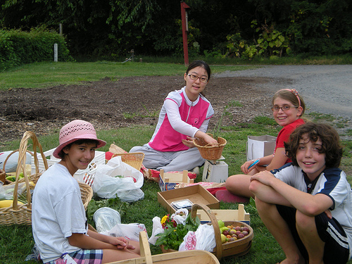 Youth garden volunteers organize their harvest before donating it to Share McLean.