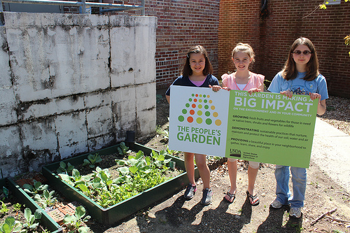 Students at Woolmarket Elementary have transformed a vacant courtyard into a nucleus of plant activity, ranging from cabbages to coastal grasses.