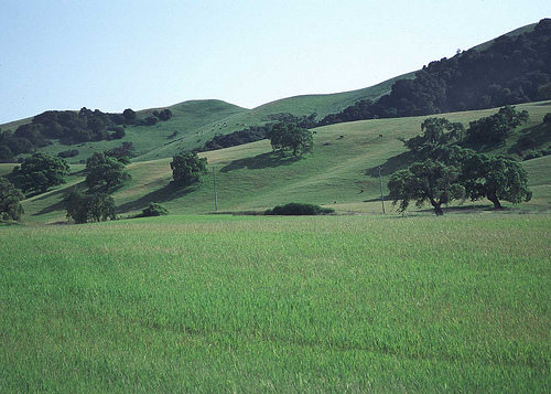 A new online resource helps retiring farmers with land in the CRP program meet beginning farmers and ranchers who would like to bring part of the land into  production using sustainable grazing or crop production methods.