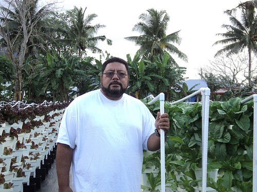 Edward Avegalio transformed his farm into a hydroponic haven that expanded his acreage and made the land accessible to his needs.