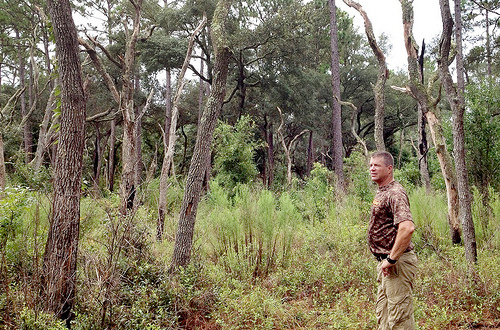Steve Barlow standing in the longleaf pine forest that he is restoring.