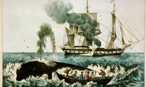 Whale fishery: attacking a right whale, Currier & Ives