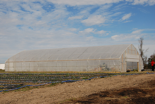 A seasonal high tunnel, built with assistance from the Natural Resources Conservation Service, helps the Hooks to expand their growing season.