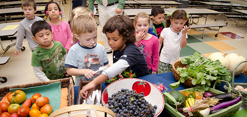 First-hand experiences with agriculture are a key component of farm to school programs. 