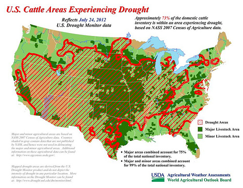 Approximately 73% of the domestic cattle inventory is within an area experiencing drought, based on NASS 2007 Census of Agriculture data.
