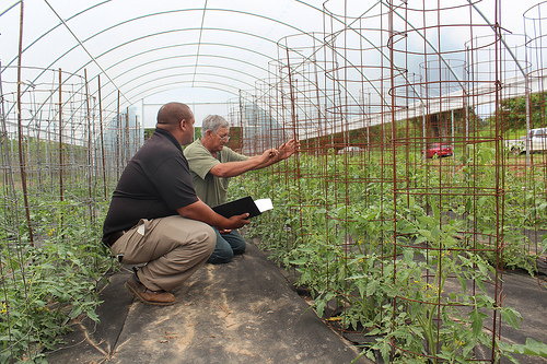 NRCS Supervisory District Conservationist Kelvin Jackson helped tomato producer Danny Daniels expand his farm and make it more environmentally friendly.