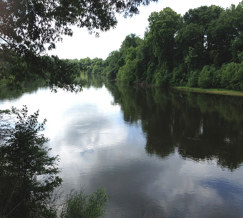 Water quality in the Wateree River is protected and improved thanks to the restoration work done on nearly 2,000 acres in Kershaw County, SC. 