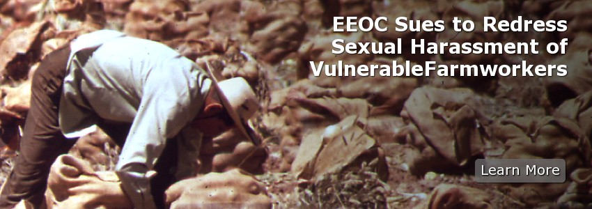 EEOC Sues to Redress Sexual Harassment of Vulnerable Farmworkers