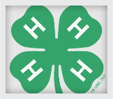 4-H Expands To New Audiences