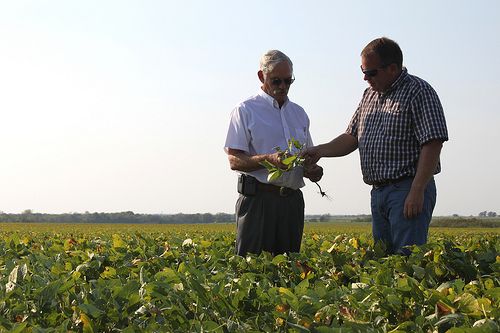USDA Undersecretary Michael Scuse and Cass County FSA committeeman and farmer Trent Smith discuss the drought’s impact on this year’s soybean crop. Smith’s farm was one stop on the Undersecretary’s tour assessing Missouri’s drought.
