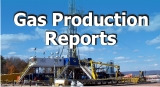 Gas Production Reports