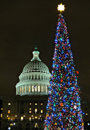A 63-foot Sierra white fir from the Stanislaus National Forest in California was lit as the 2011 Capitol Christmas Tree during a ceremony Dec. 6 on the west front lawn of the Capitol. The Christmas tree is adorned with about 3,000 ornaments, all homemade by California residents, and 10,000 energy-efficient lights. (U.S. Forest Service photo)